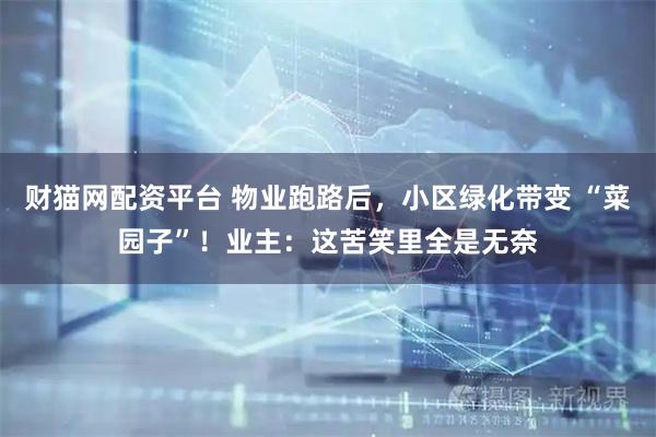 财猫网配资平台 物业跑路后，小区绿化带变 “菜园子”！业主：这苦笑里全是无奈