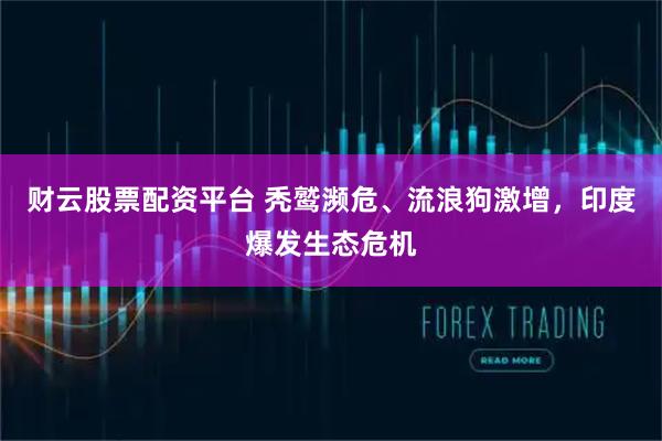 财云股票配资平台 秃鹫濒危、流浪狗激增，印度爆发生态危机