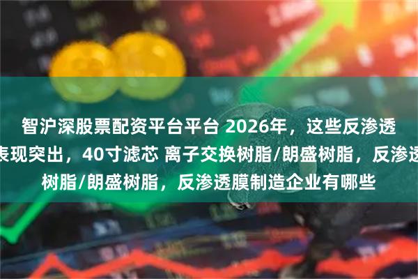 智沪深股票配资平台平台 2026年，这些反渗透膜生产商在市场中表现突出，40寸滤芯 离子交换树脂/朗盛树脂，反渗透膜制造企业有哪些