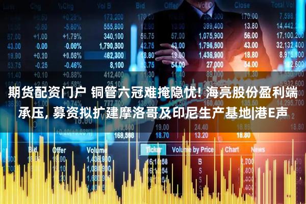 期货配资门户 铜管六冠难掩隐忧! 海亮股份盈利端承压, 募资拟扩建摩洛哥及印尼生产基地|港E声